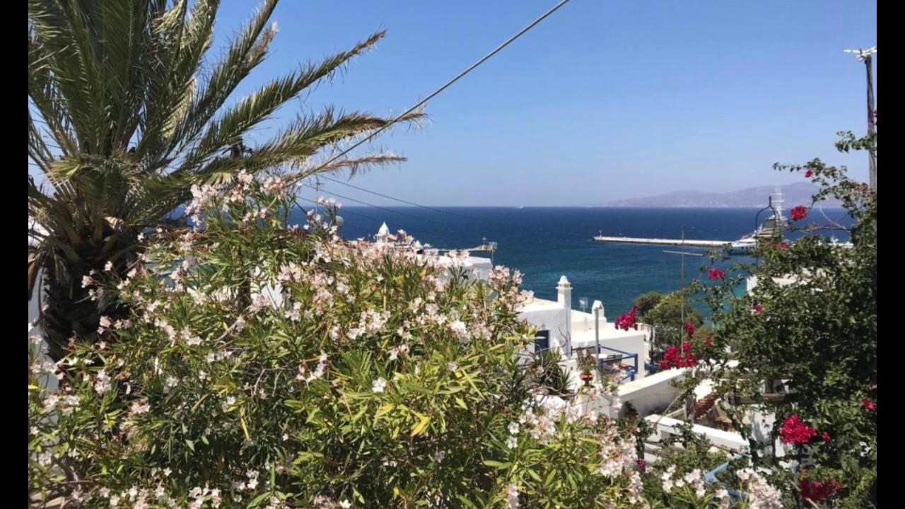 Rania Apartments Sea View Mykonos Town Экстерьер фото